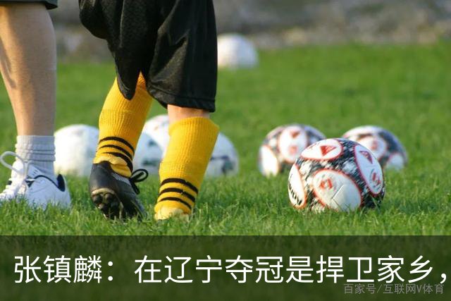 张镇麟：在辽宁夺冠是捍卫家乡，来上海拿冠军证明我换队也可以赢